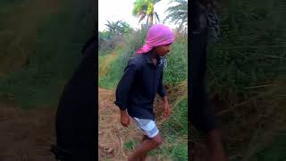 देसी बाब ? funny comedy video |funny comedy shorts viral funnyvideo youtubeshorts viralshorts