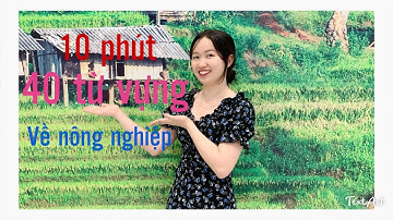 Những câu giao tiếp tiếng nhật sử dụng trong ngành nông nghiệp