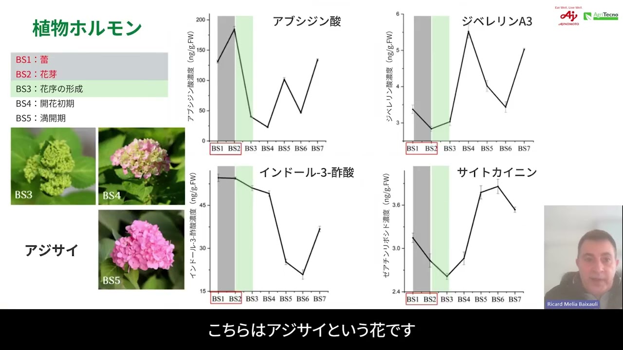 Tecamin Flower(テカミンフラワー) | 味の素グループ アミノ酸肥料