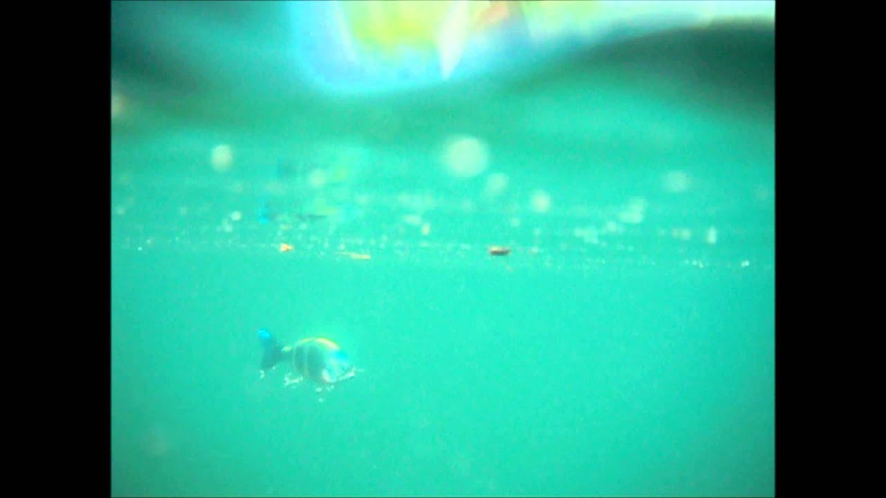 CRIMSON WORLD WIDE / DESTROY PERFORMER 175 KDT | IchibanTackle.com