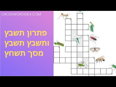 וִידֵאוֹ: מה הפירוש של מוציא לפועל בתשחץ ?