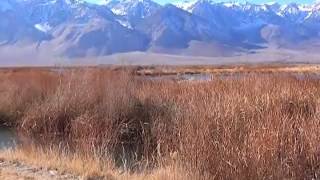 Lower Owens River