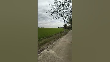 @Cảnh đẹp miền tây@youtube Nguyễn văn nhã