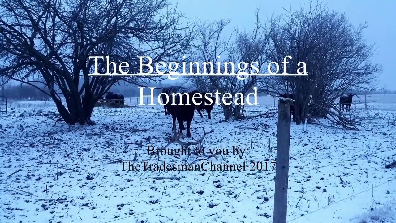 Beginnings of a Homestead YouTube