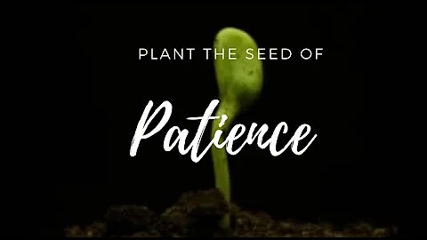 8 Minute Guided Morning Meditation - Plant Seed of Patience