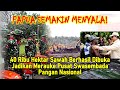 Papua Semakin Menyala! 40 Ribu Hektar Sawah Berhasil Dibuka TNI, Siap Swasembada Pangan!