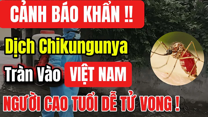 Cảnh Báo Khẩn: Dịch Chikungunya Sát Biên Giới – Nguy Cơ Lây Nhanh Vào Việt Nam, Người Già Chú Ý!