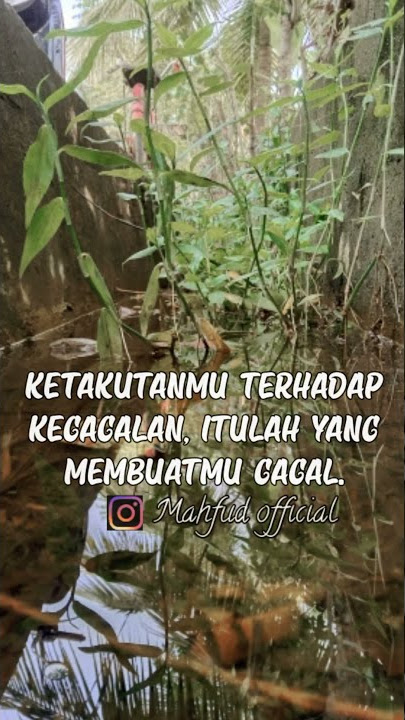 STORY WA IG SHOLAWAT TERBARU II BY CEWEK HUWANNUR
