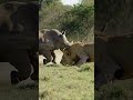 Did you think we were going to bump into each other?