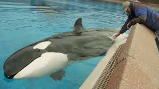 Kiska