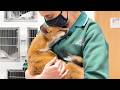 Some Say Animals Don’t Have Love… Watch This! ❤️