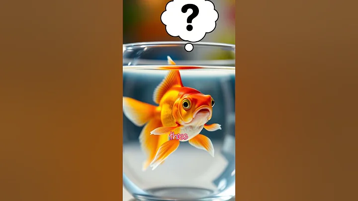 Do Goldfish Really Have a 3-Second Memory?