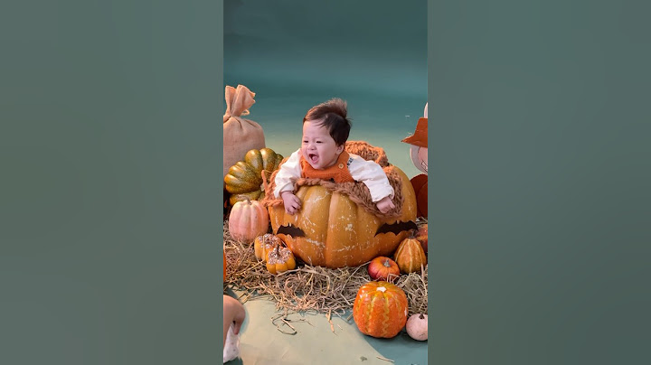 Zino Đi Chụp Concept Labubu Bí Ngô Halloween #veve #zino #halloween
