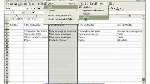Tutoriel EXCEL 2003: Cours N°13 Masquer une ligne ou une colonne