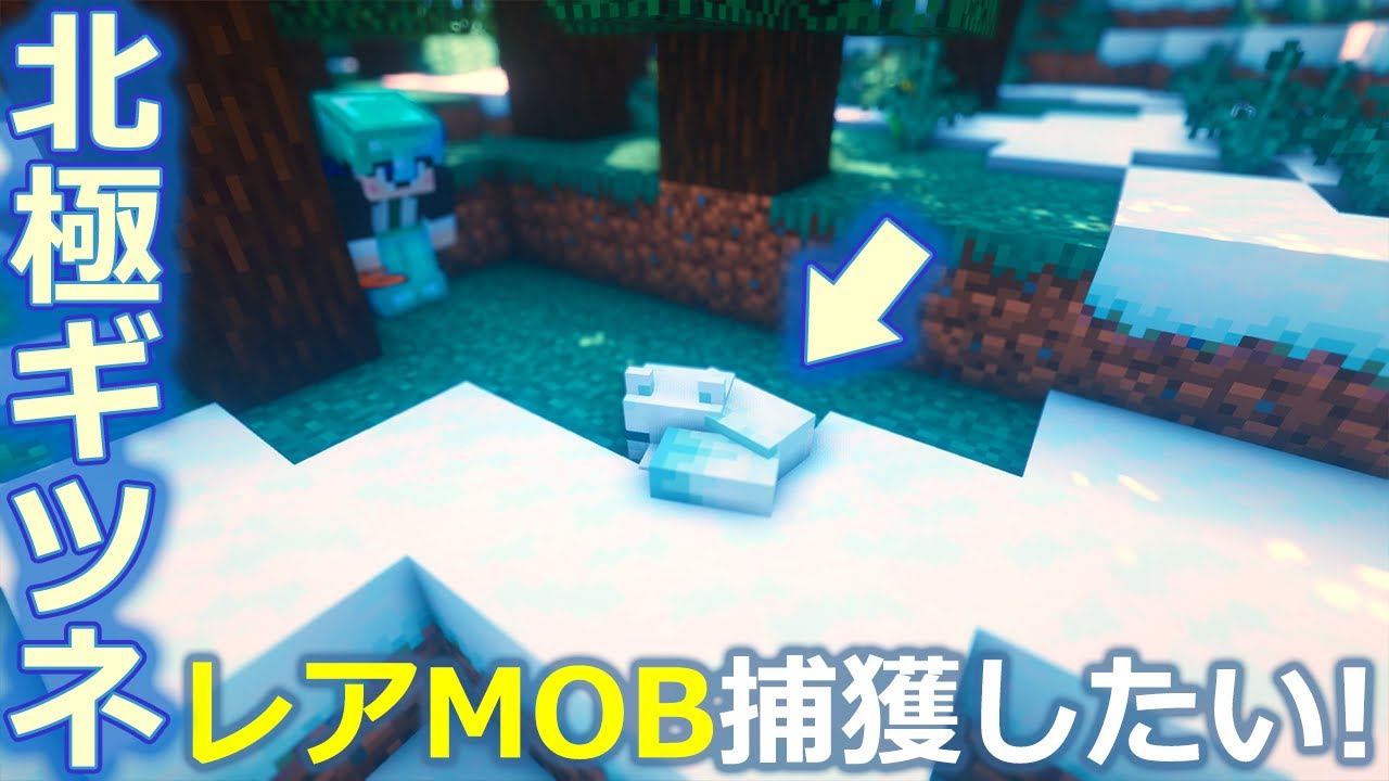 マインクラフト レアmob ホッキョクギツネを捕獲したい 0 ぽこなかくら Youtube