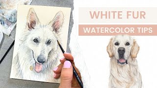 White Fur Watercolor Painting Tips