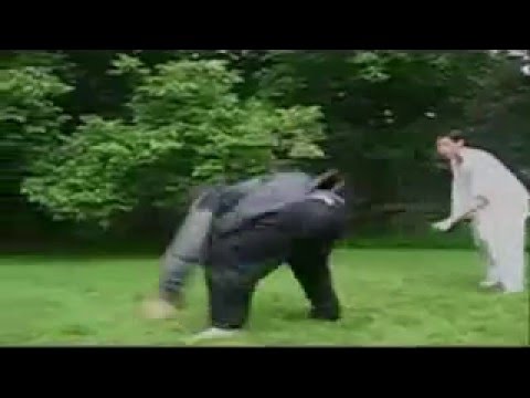 Dragonball Stunt