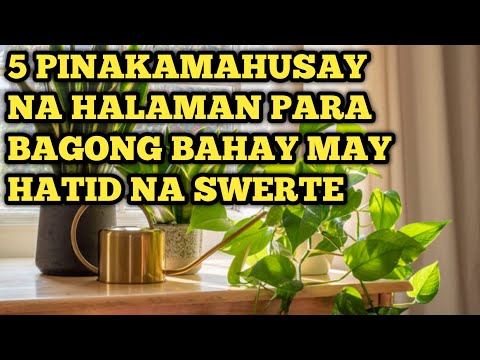 Video: Scheffler (61 Larawan): Pag-aalaga Ng Isang Panloob Na Bulaklak Sa Bahay, Mga Pagkakaiba-iba Na 
