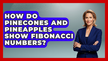 How Do Pinecones And Pineapples Show Fibonacci Numbers? - The Numbers Channel