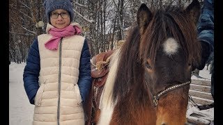 Анастасия Дмитриевна и Мерф. (тестовая обкатка пони)