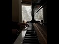 موسيقى بيانو هادئة 
