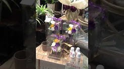 南信花園 Youtube 南信花園 Youtube