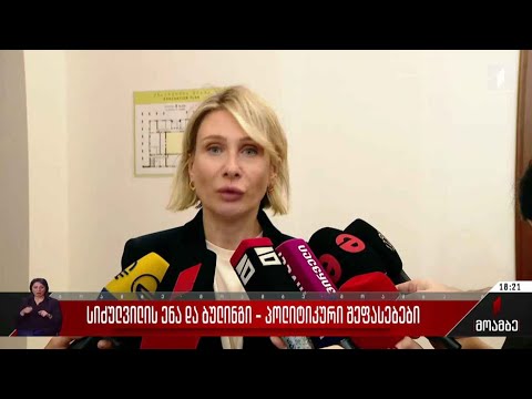 სიძულვილის ენა და ბულინგი - პოლიტიკური შეფასებები