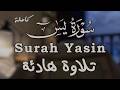 A Soothing Recitation Surah Yasin Complete By Reciter Ahmed Abdelhay Surah Yasin AhmedAb 