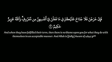 سورة البقرة| الآيات {240-242}|القارئ: محمد هشام| كروما | قرآن خلفية سوداء