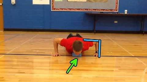 Fitnessgram Push-up Test