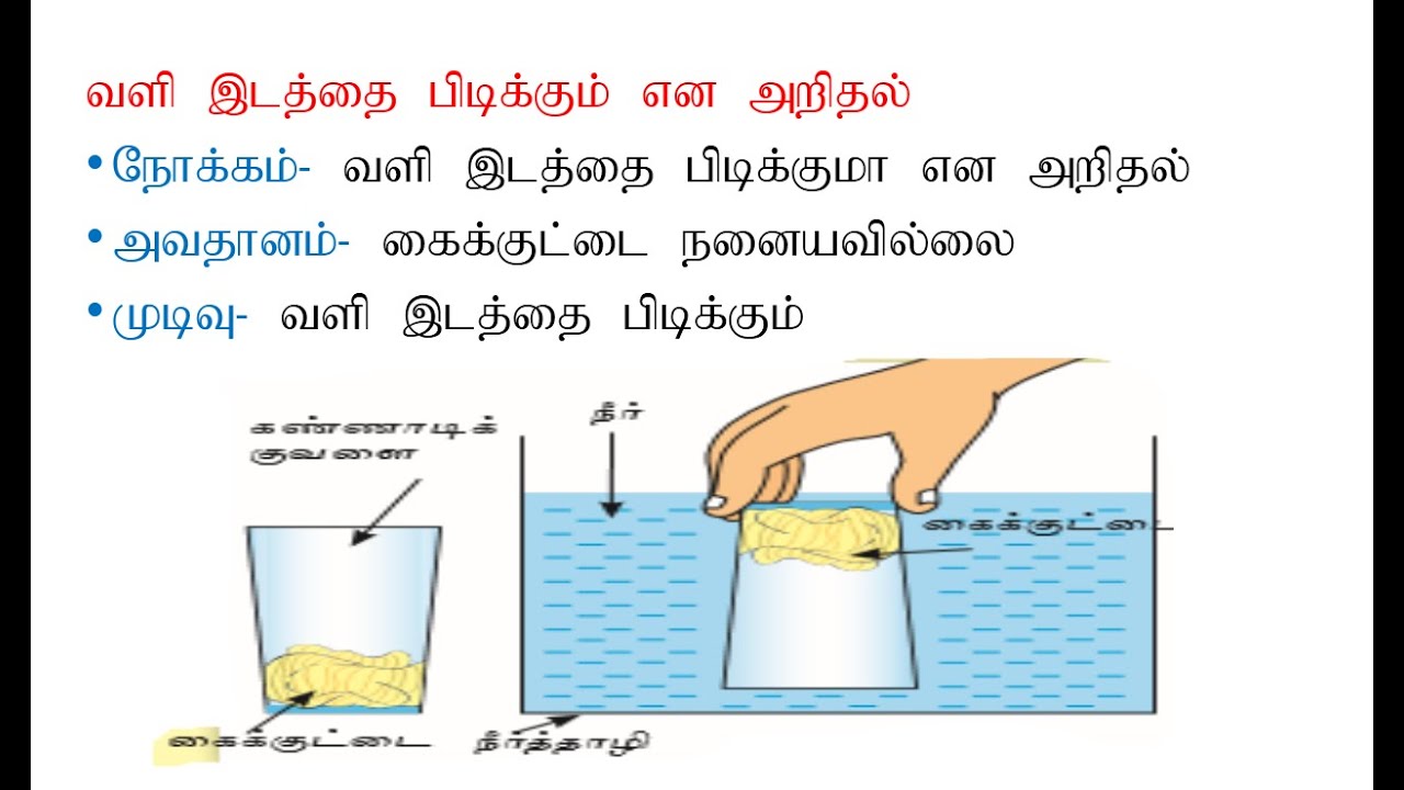 grade 6 science worksheets in tamil