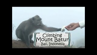 Climbing Mt Batur in Bali // MONKEYS!!! // Travel vlog
