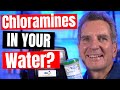 CHEAPEST Way to REMOVE CHLORAMINES from WATER