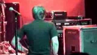 Finch - New Beginnings