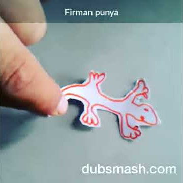 Ajaib Cicak dan nyamuk