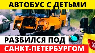 Деmu вылетели после ДТП на дорогу видео