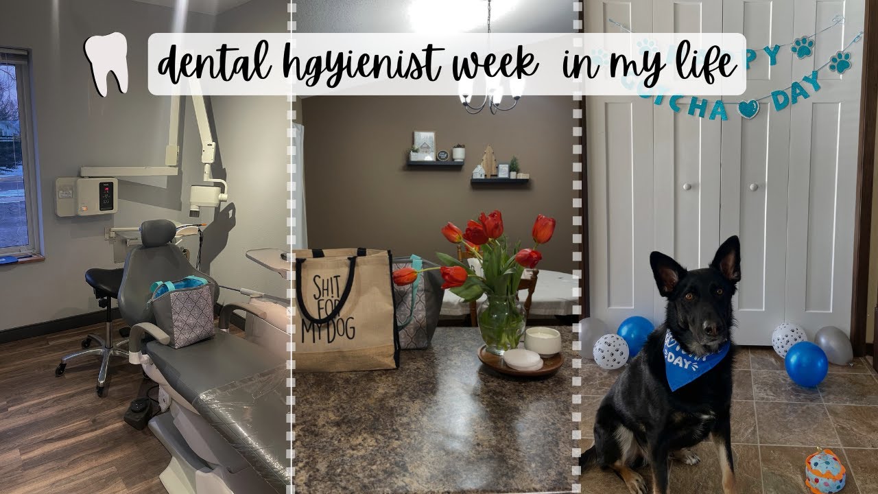 dental hygienist | a week in my life | full time private/corporate ...