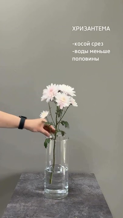 Доставка Цветов Москва 24/7 WhatsApp +79055332523 #цветымосква # ...