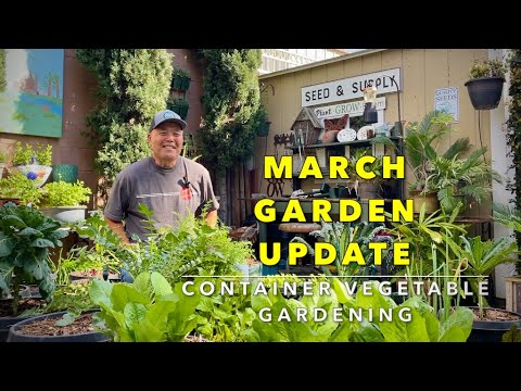 March Veggie Garden Tour & To Dos | Planting Sweet Potatoes | Container Vegetable Gardening