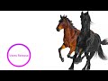Lil Nas X - Old Town Road (NOT YOUR DOPE Remix)