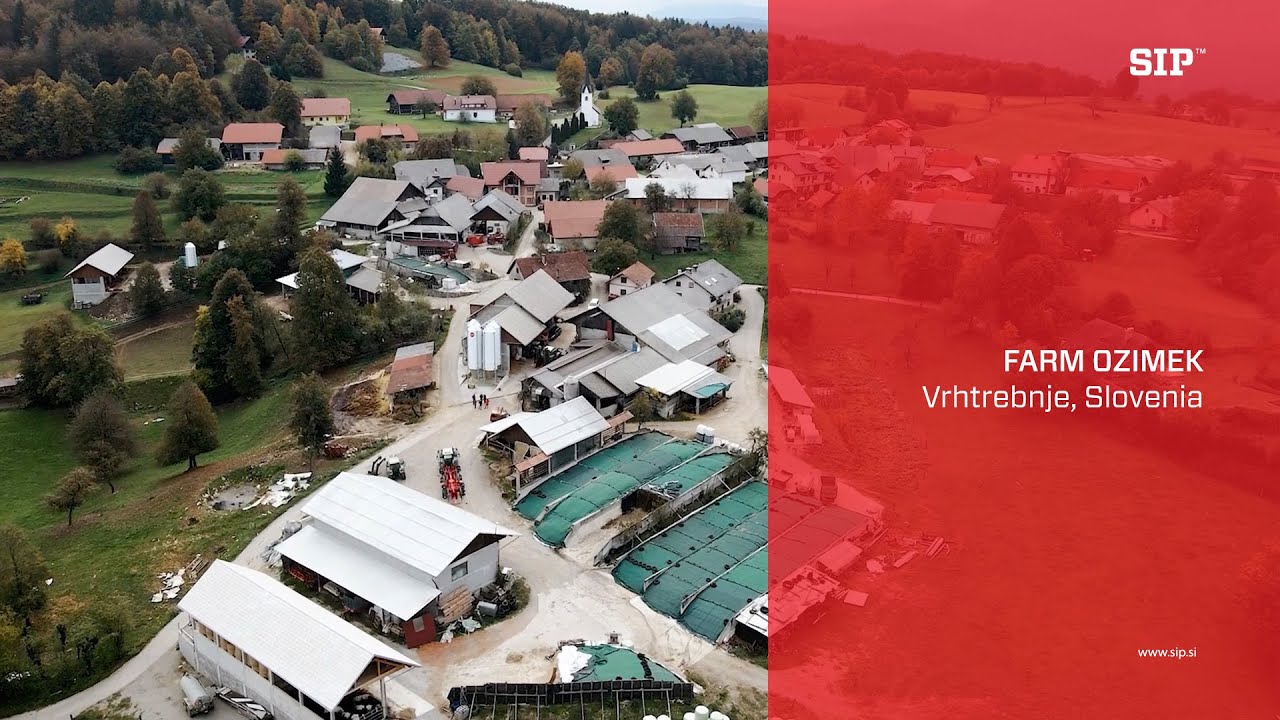SIP | Dairy farm Ozimek