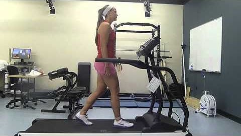 Biomechanics Assignment  3 Sagittal