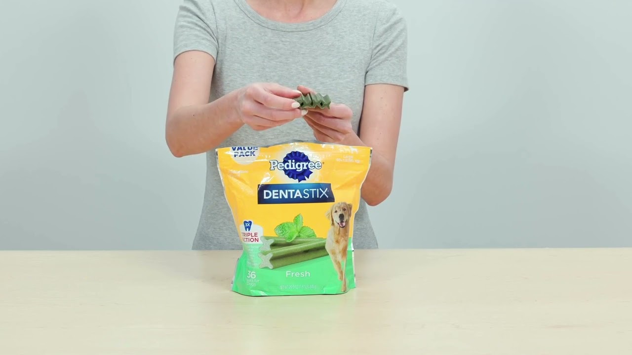 Keep Your Dog’s Smile Healthy and Bright!