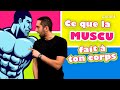 La muscu cest bien ou pas  faut que je texplique avec drjimmymohamed   lumni