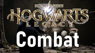 Hogwarts Legacy Combat Breakdown