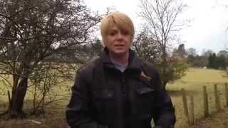 Preventing & stopping livestock chasing