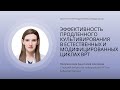 ЭФФЕКТИВНОСТЬ ПРОДЛЕННОГО КУЛЬТИВИРОВАНИЯ В ЕСТЕСТВЕННЫХ И МОДИФИЦИРОВАННЫХ ЦИКЛАХ ВРТ