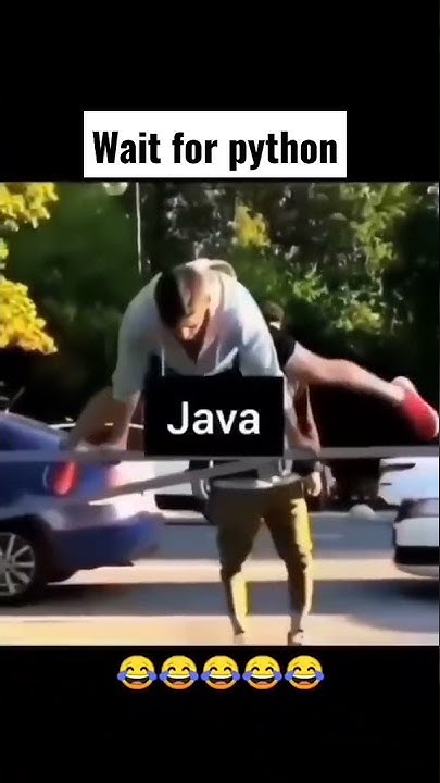 Wait for Python's Turn | Programming languages meme | Coding status ...