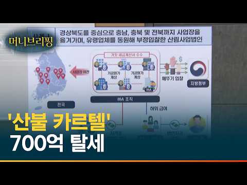 유령 회사로 '메뚜기 입찰', 700억 원 규모 탈세 '산불 카르텔' [머니브리핑] / 머니뭅TV