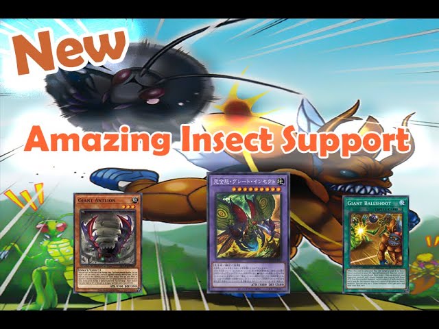GIANT BALLPARK INSECTS DECK PROFILE FT. NEW BROKEN INSECTS SUPPORT Post  Photon Hypernova YUGIOH